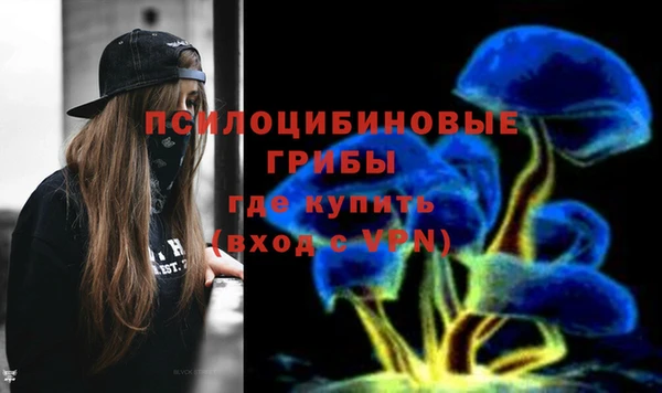 ешки Верхний Тагил
