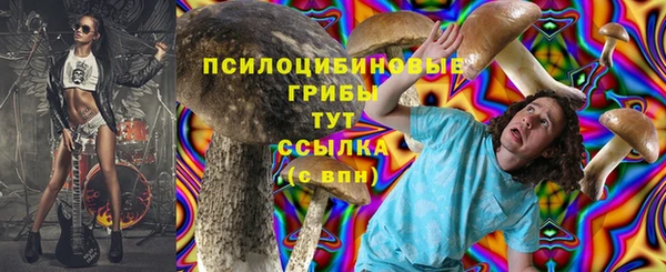 молекула духа Волосово